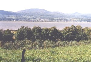 View from back of Carrier House