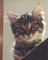 Posing in the stairs