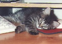 Tired of computing